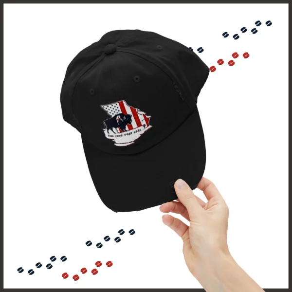 Unisex Distressed Cap - Missouri - LRH - strokes - Image 18