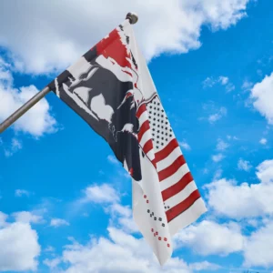 Flag - Colorado - LRH - APF