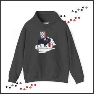 Unisex Heavy Blend™ Hooded Sweatshirt - California - LRH - strokes