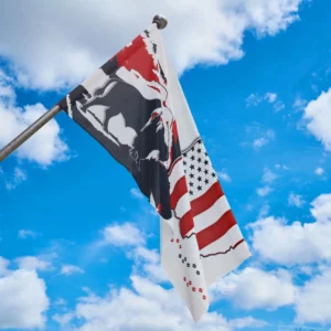 Flag - Ohio - LRH - APF