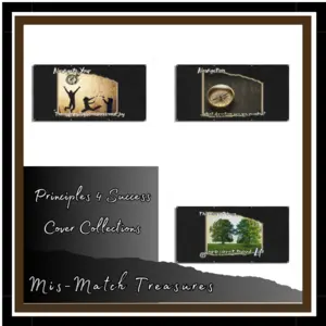 Principles 4 Success Cover Collection Mismatch Treasures