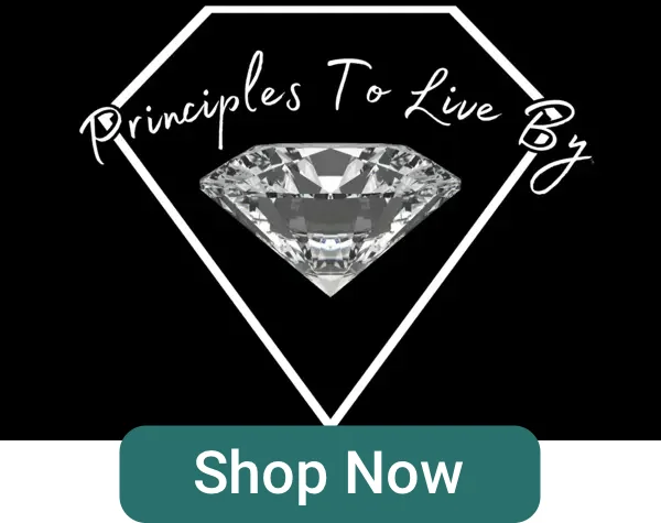 Principles To Live By Cover-Shop Now