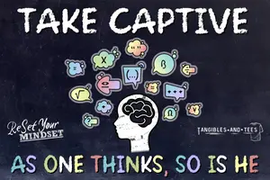 Take Captive Series
